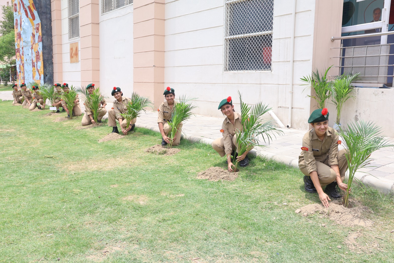 Tree Plantation Drive